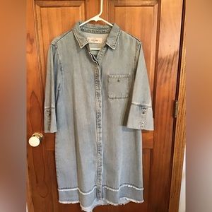 Lola Jeans Dress/duster